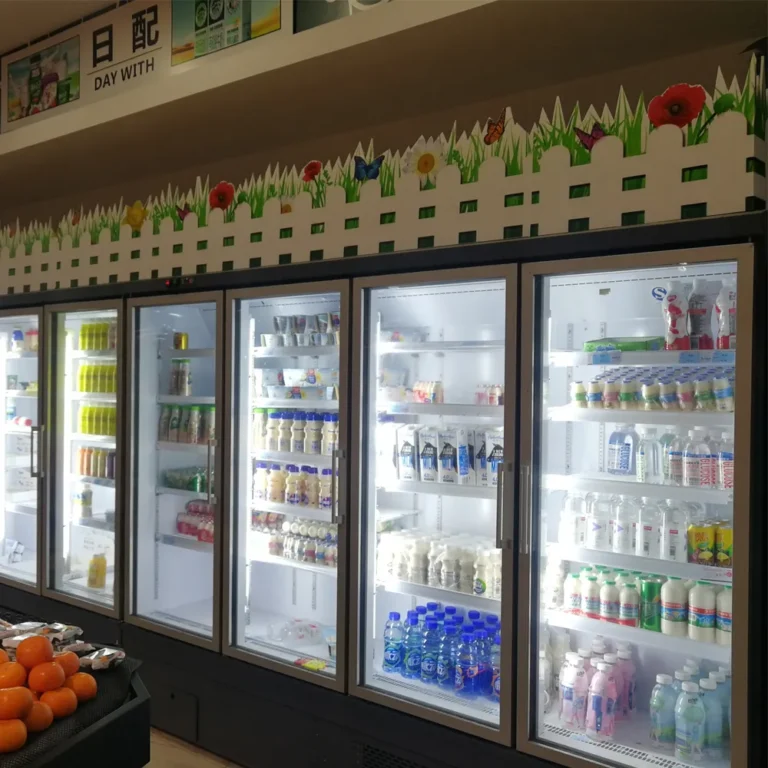 2-glass-door-plug-in-freezer-bottom-compressor-unit