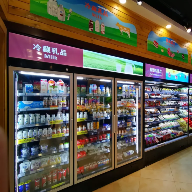 R290-eco-friendly-plug-in-glass-door-freezer