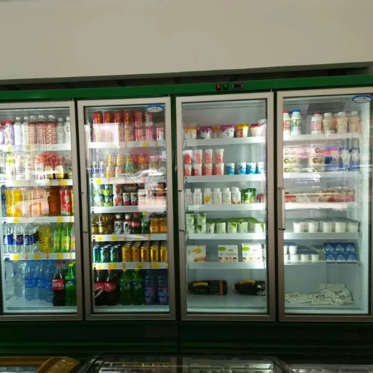 bottom-mounted-compressor-plug-in-glass-door-chiller-unit