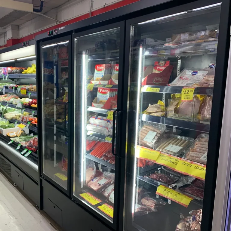 commercial-plug-in-glass-door-freezer-bottom-mounted