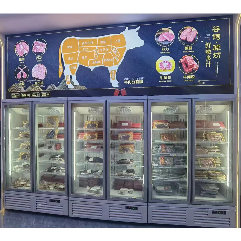 Double-swing glass door plug-in freezer with bottom-mount compressor and precision -18 to -22°C industrial-grade cooling - XCCold Series