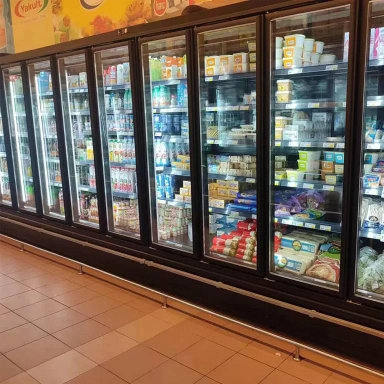 energy-saving-remote-refrigeration-glass-door-chiller