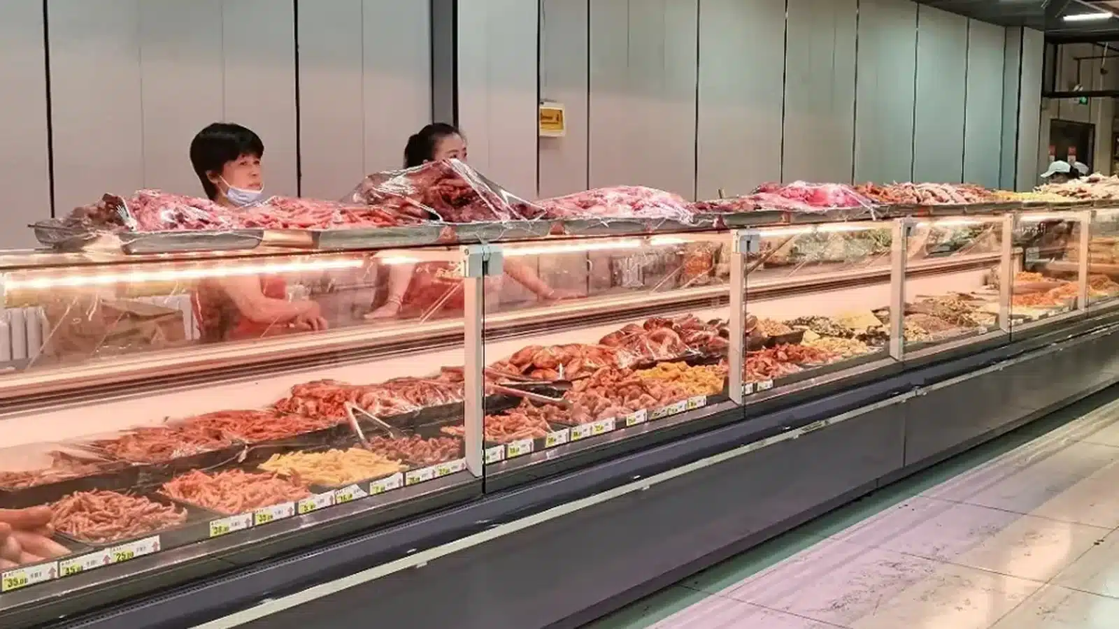 Plug-in luxury flat-glass deli showcase product reference