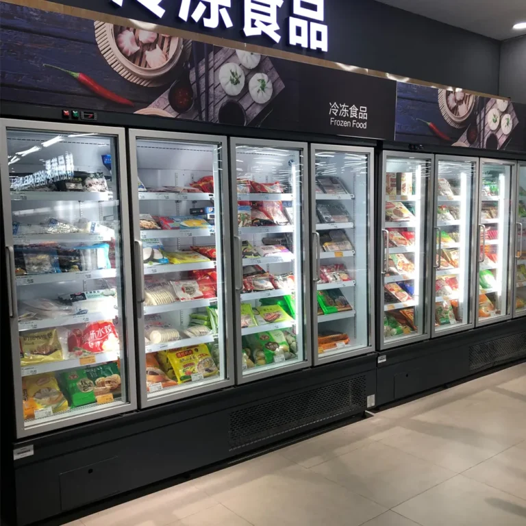 plug-in-glass-door-chiller-bottom-mounted-compressor