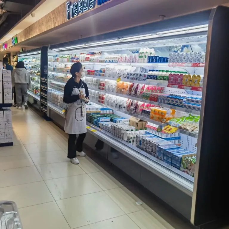 silent-operation-japanese-style-remote-open-chiller