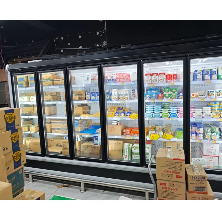 slim-frame-remote-hinged-glass-door-chiller